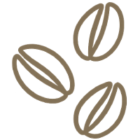Honey Process