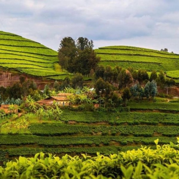 Rwanda