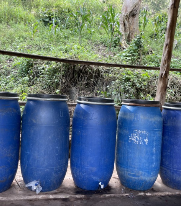 anaerobic fermentation